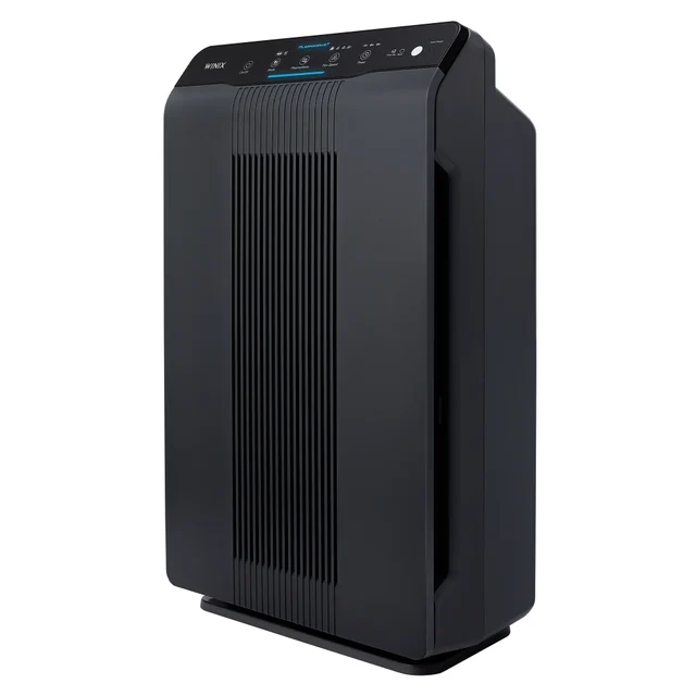 Winix 5500-2
