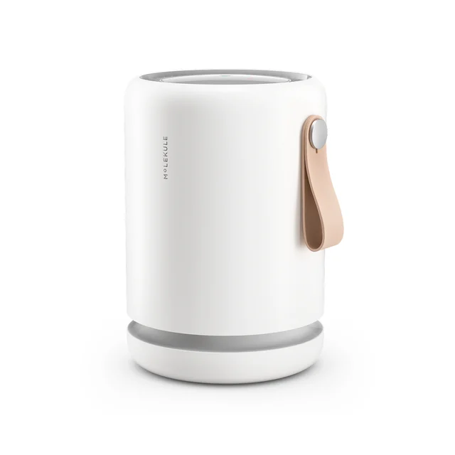 Molekule Air Mini